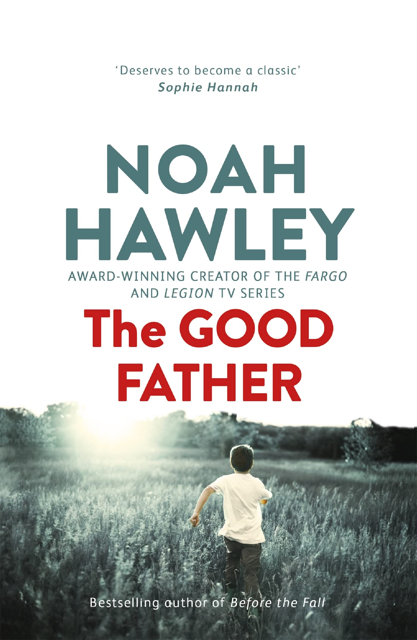 THE GOOD FATHER book cover