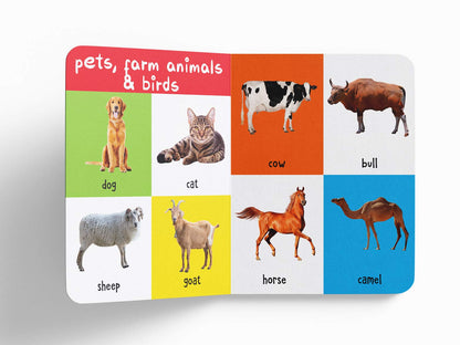 My First 100 Animals And Birds | Ages 0–5 Years | Early Learning | Padded Board Book For Kids | Wild Animals | Farm Animals | Pets | Vocabulary Building | Toddlers & Preschoolers | Latest Edition