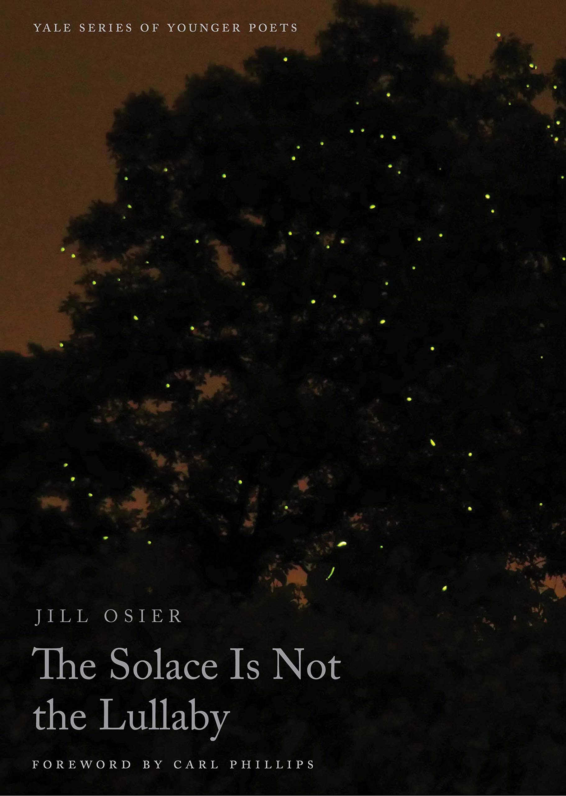 Solace Is Not the Lullaby book cover