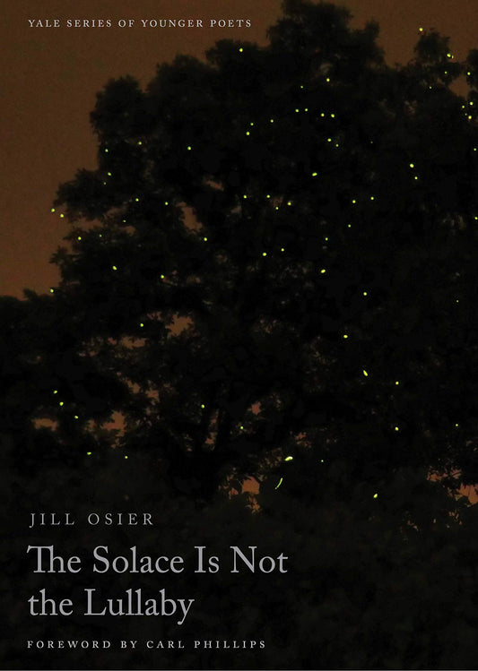 Solace Is Not the Lullaby book cover