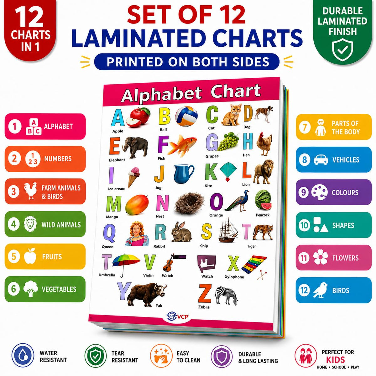 VCP Early Learning Educational Chart Set for Kids | Set of 12 LAMINATED Paper Charts (Printed on Both Sides) | Non-Tearable and Waterproof | Size : 31 x 46 cm | Alphabet, Numbers, Animals..