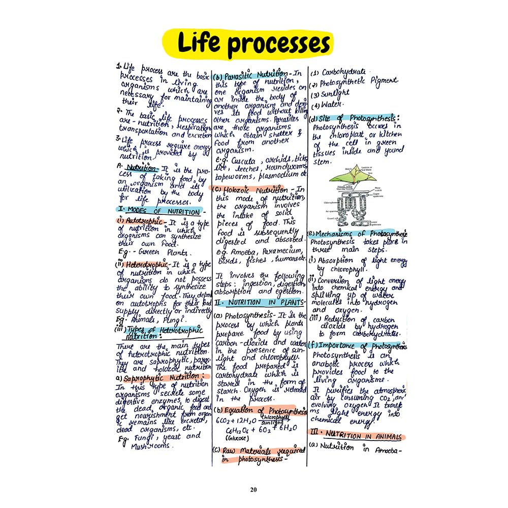 PW Project 45 CBSE Class 10 Science Handwritten Notes 2026-27 By Rakshak Sir, Samridhi Mam & Sunil Sir | Quick Revision Notes with Diagrams, 50 Most Important Questions