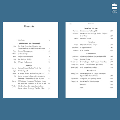 Wild Fictions : Essays