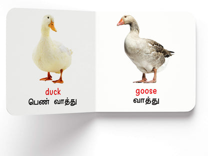 My First Book of Birds - Paravaigal : My First English Tamil Board Book