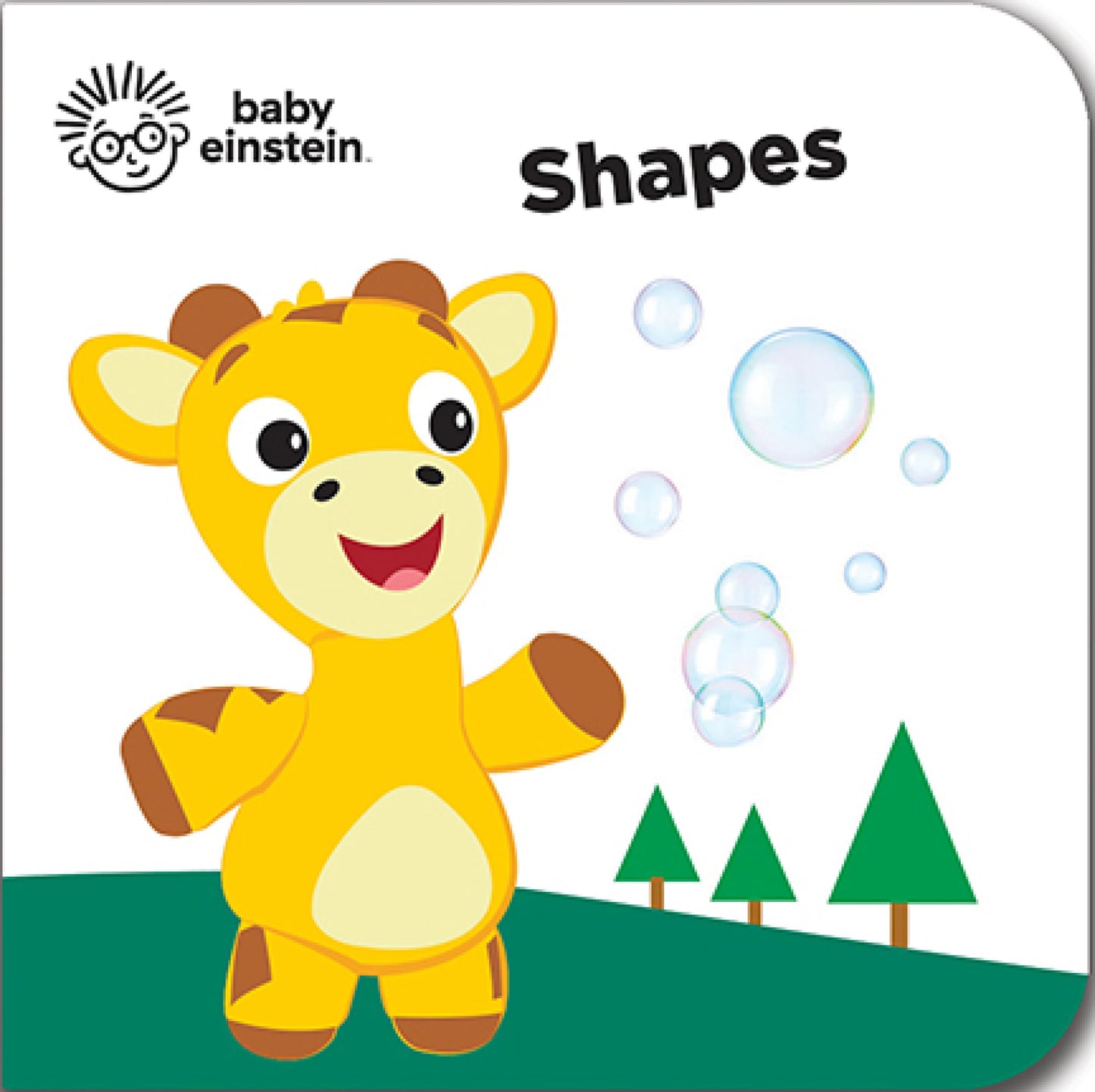 Baby Einstein - My First Library Board Book Block 12-Book Set - First Words, Alphabet, Numbers, and More! - PI Kids 