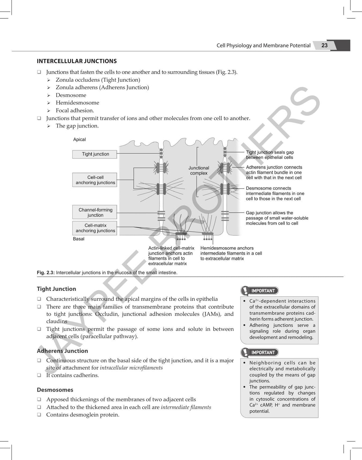 Review of Physiology, 9/E - A Must-have Book for All PG Medical Entrance Exam (NEET PG, INI-CET, FMGE, NEET MDS, AIAPGET) | Updated per Ganong's, ... and Berne & Levy with Image-based MCQs: 1