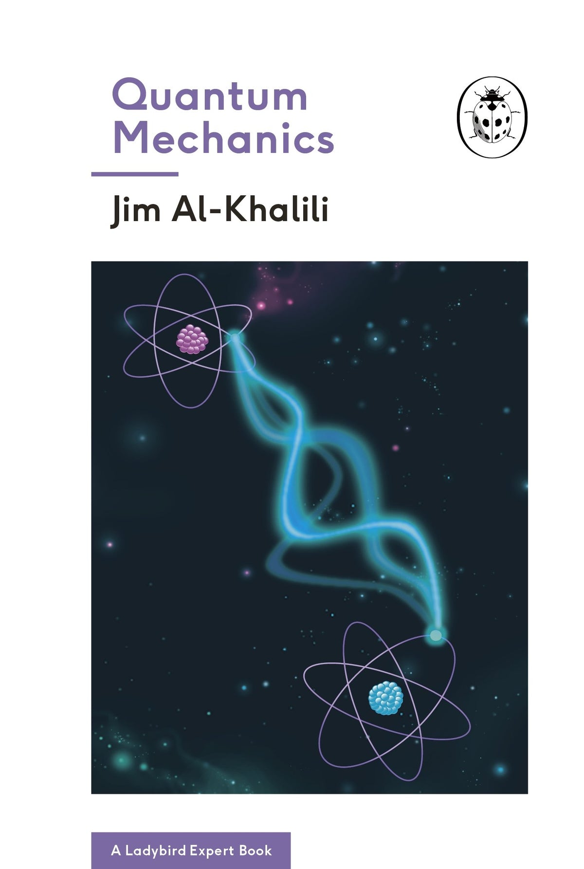 Quantum Mechanics (A Ladybird Expert Book) book cover