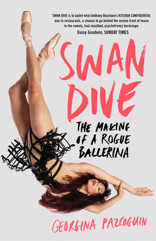 Swan Dive book cover