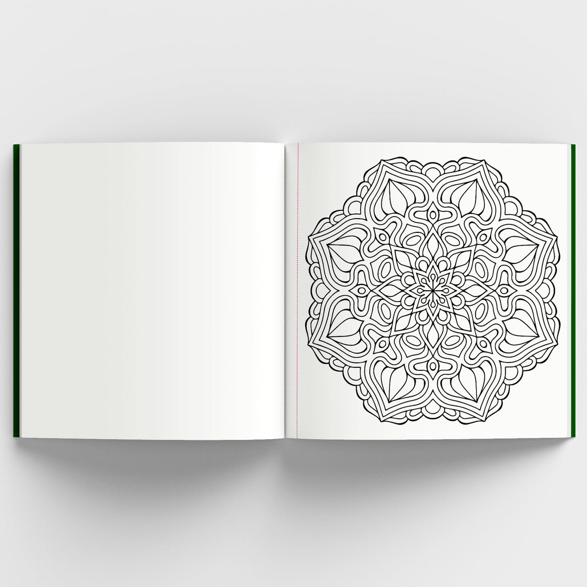 Meditative Mandalas: Adult Coloring Book: Meditative Mandalas for Relaxation & Stress Relief | A Mindfulness & Therapy Guide for Adults to Unwind & Boost Creativity [Select Learning]