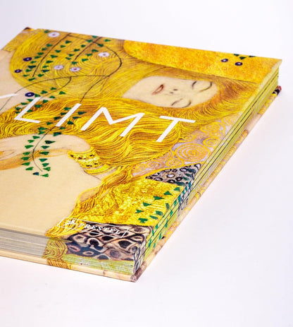 Klimt: The Bigger Picture