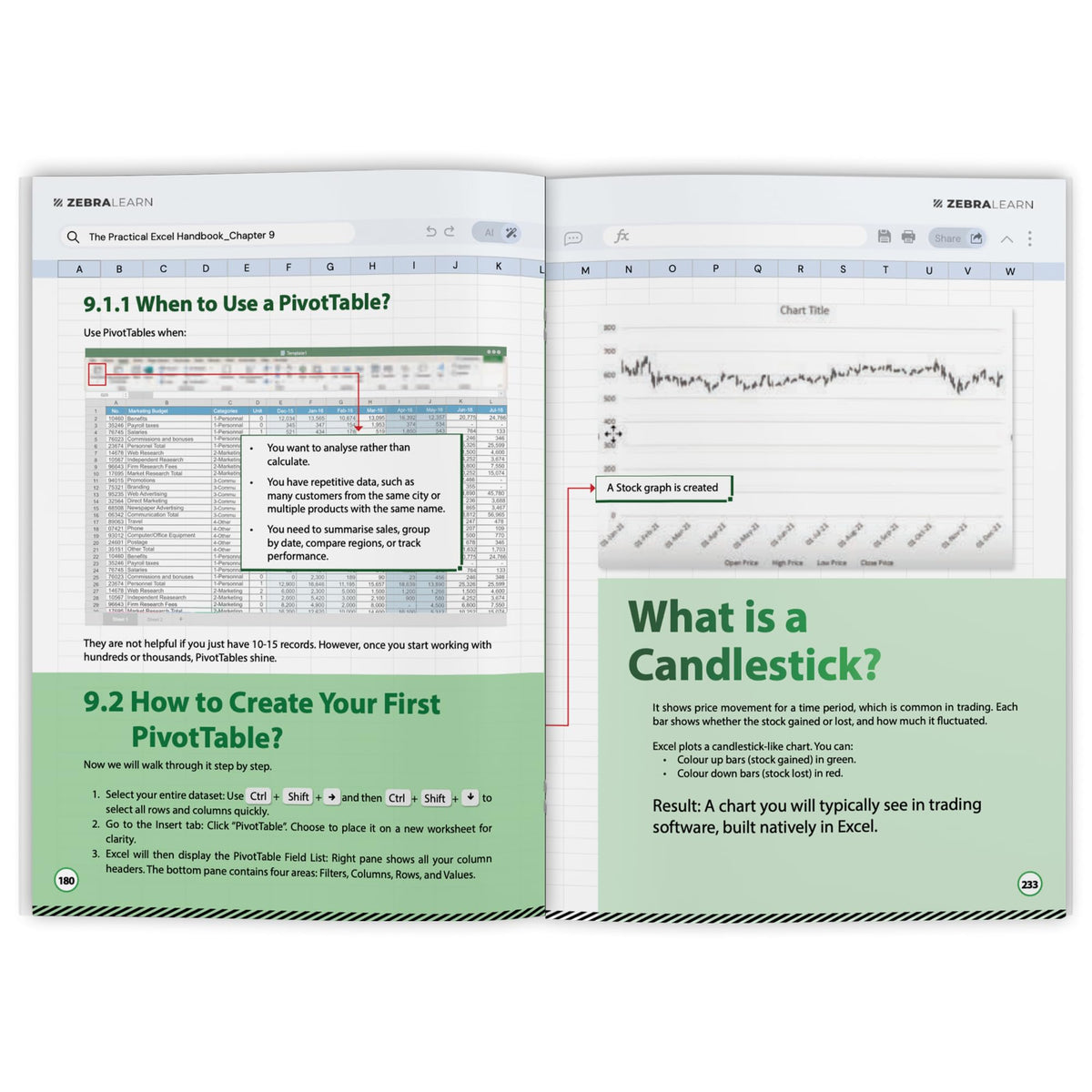 The Practical Excel Handbook: Excel for Finance, Business & Data Analysis | Build Dashboards, Financial Models & Reports | Real-World Skills for Corporate Jobs | ZebraLearn