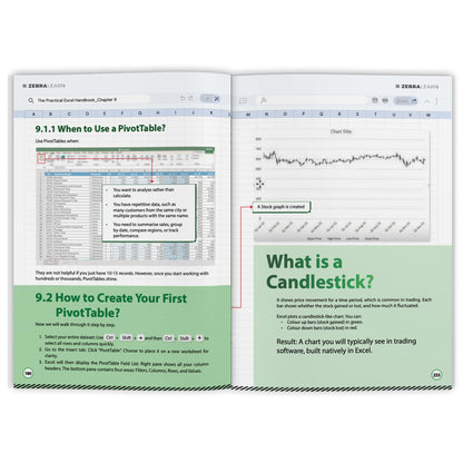 The Practical Excel Handbook: Excel for Finance, Business & Data Analysis | Build Dashboards, Financial Models & Reports | Real-World Skills for Corporate Jobs | ZebraLearn