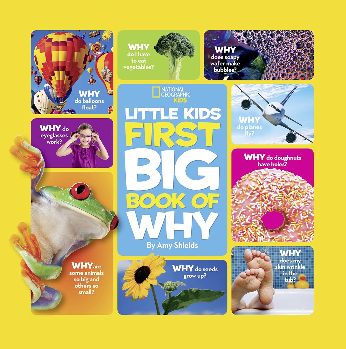 little-kids-first-big-book-of-why