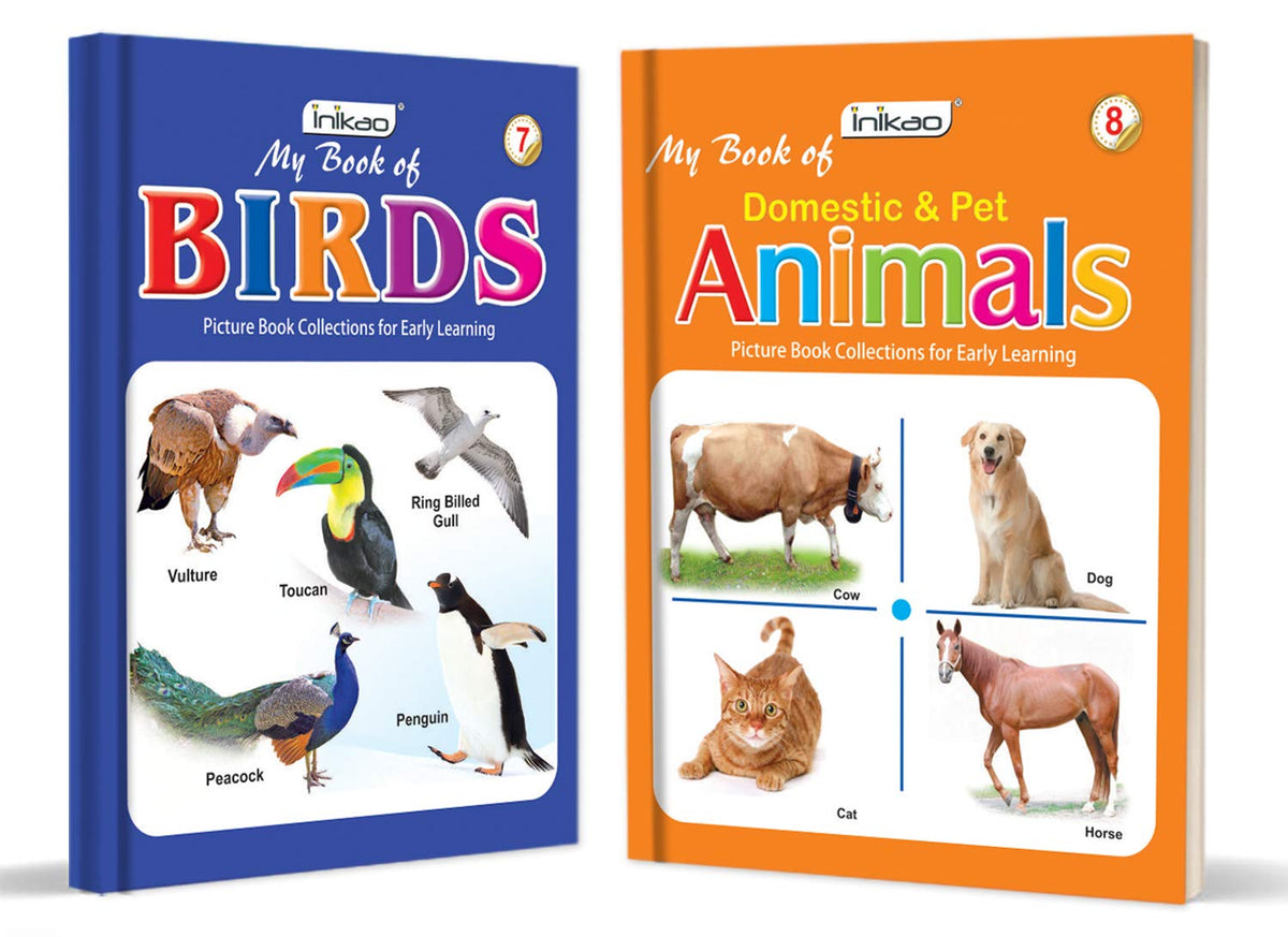 Picture Books Collections Set of 12 for Kids (Age 2–5) | Early Learning Books Combo | Alphabets, Numbers, Animals, Colours, Good Habits & More | ... (Picture Books Collection for Early Learning)