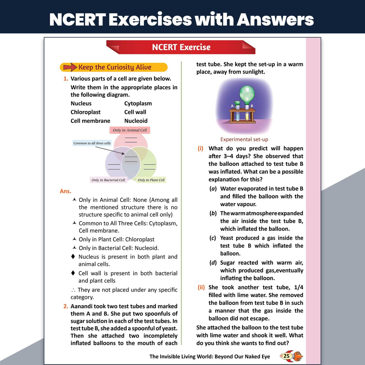 PW Concept & Question Bank Class 8 New NCERT Science (Curiosity) Book for 2026 Exams| NCERT Based Theory, Diagrams & Activities| NCERT Question Bank with Competency Based Practice Questions