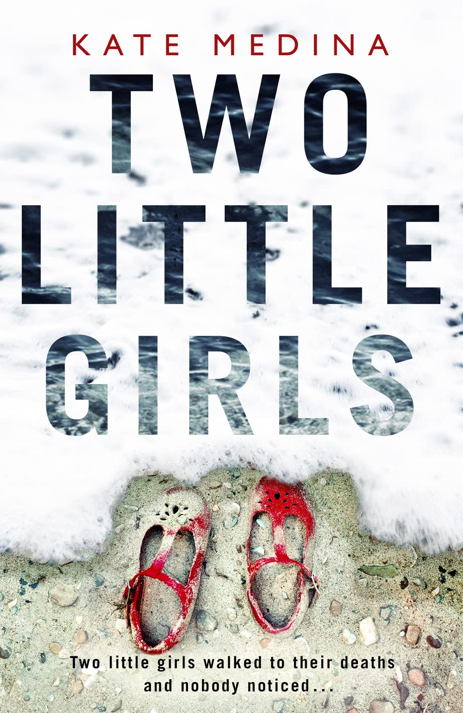 TWO LITTLE GIRLS book cover