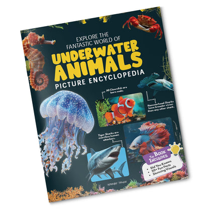 Explore Fantastic World of Underwater Animals Picture Encyclopedia