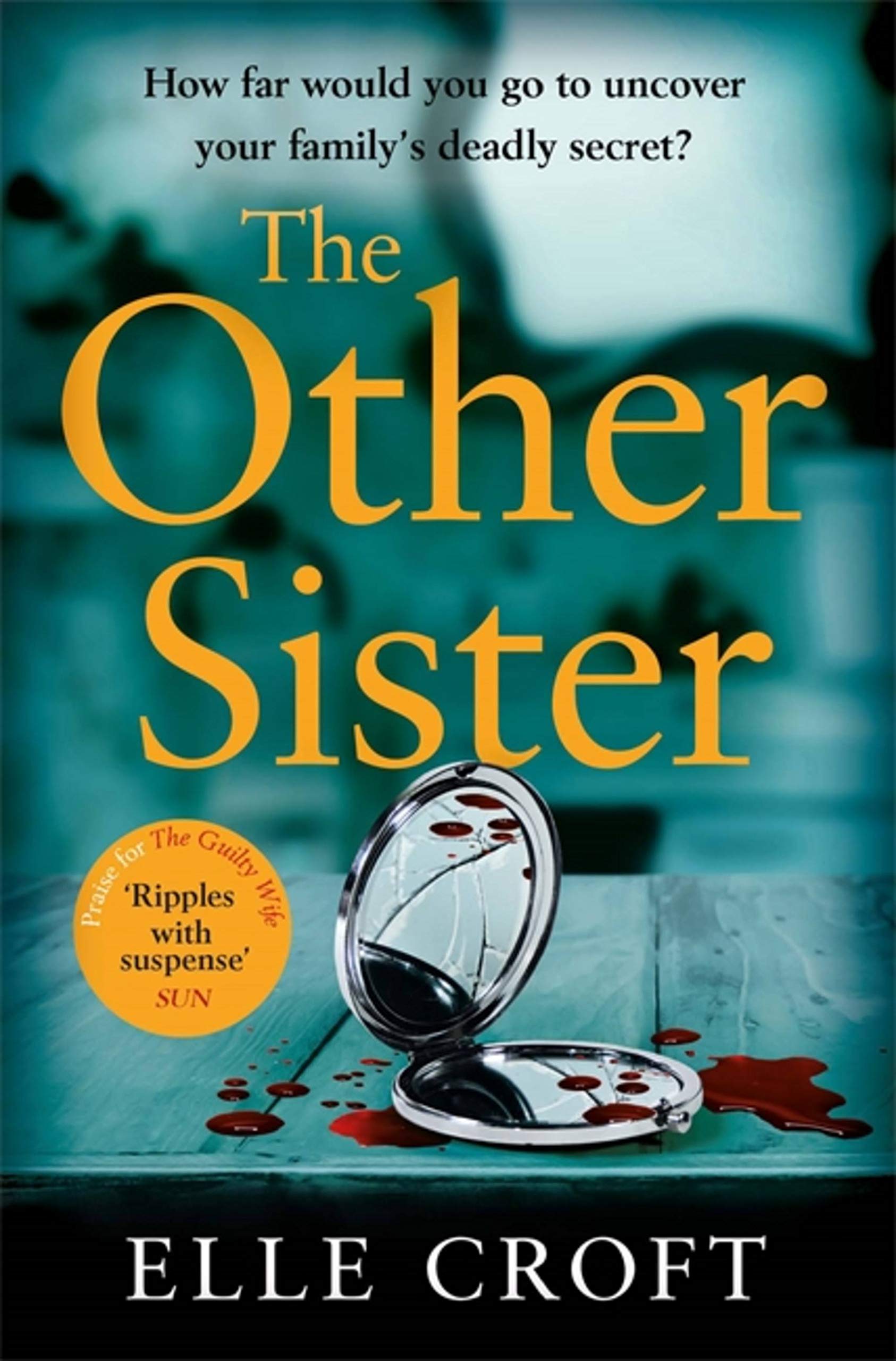 THE OTHER SISTER book cover