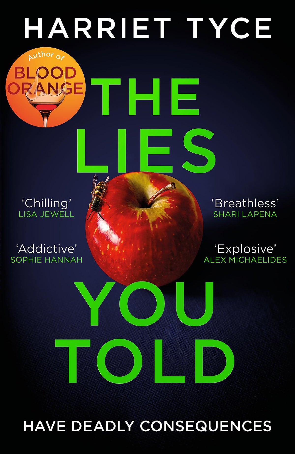 THE LIES YOU TOLD book cover