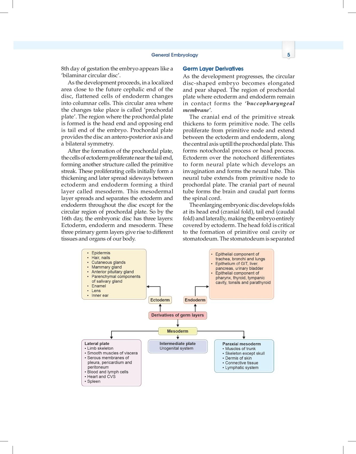 Essentials of Oral Biology 3ed. (PB 2026)