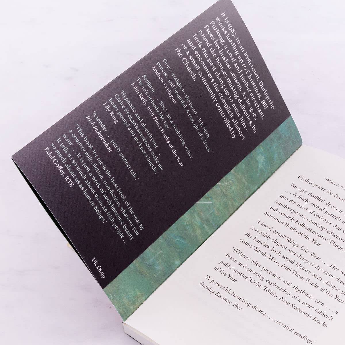 Small Things Like These: The Irish Times readers' choice for best Irish book of the century
