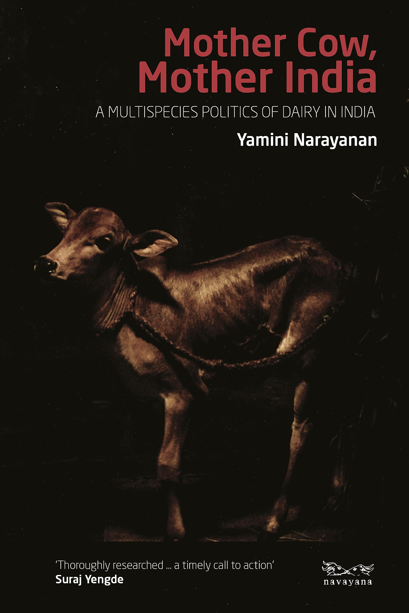 Mother Cow, Mother India : A Multispecies Politics of Dairy in India book cover