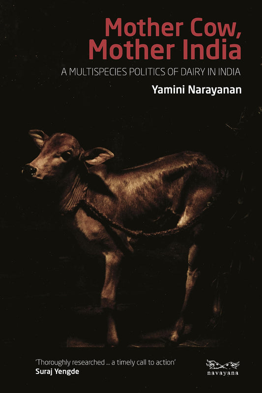 Mother Cow, Mother India : A Multispecies Politics of Dairy in India book cover