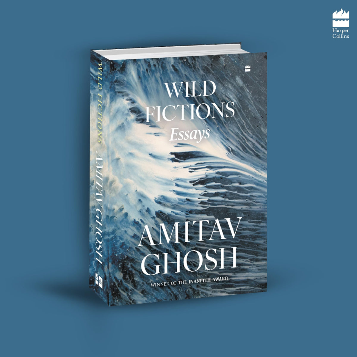 Wild Fictions : Essays