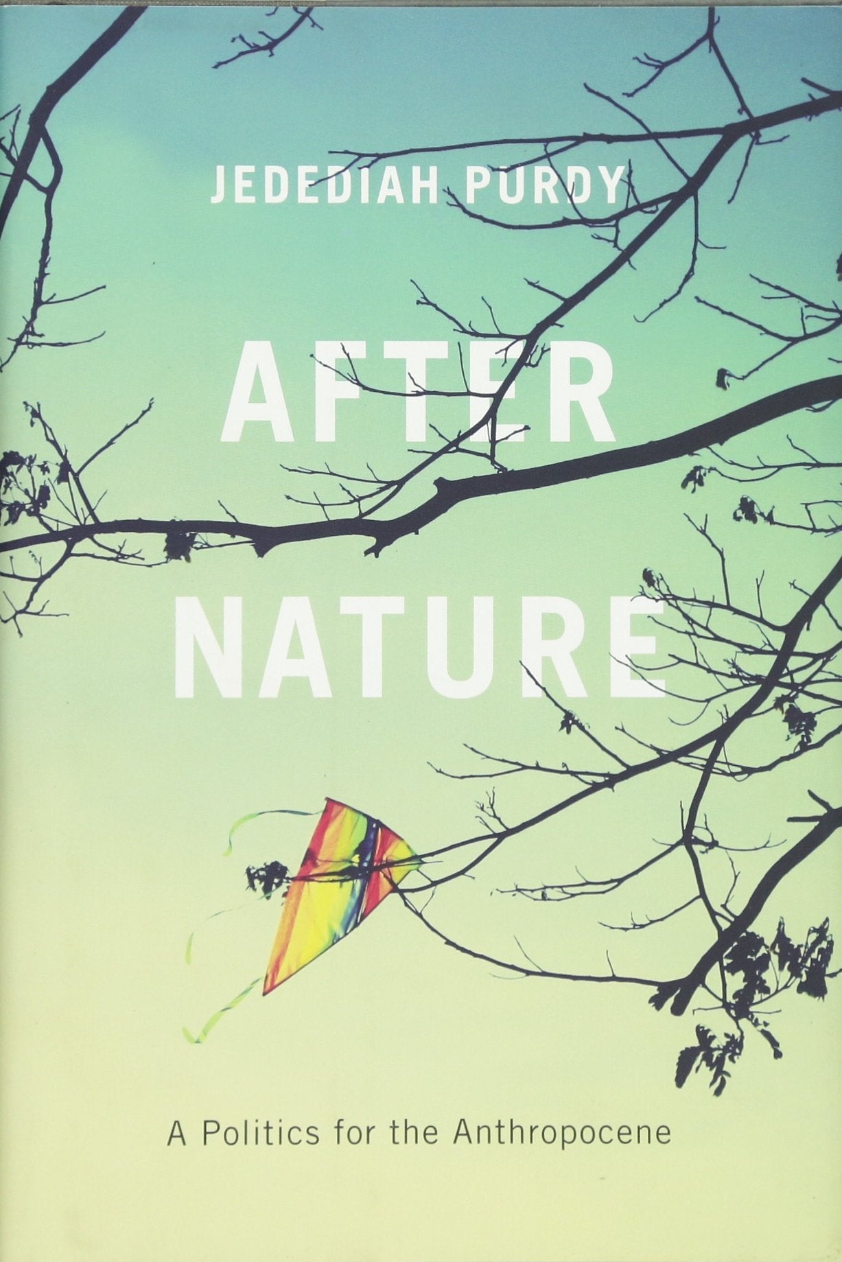 After Nature – A Politics for the Anthropocene book cover
