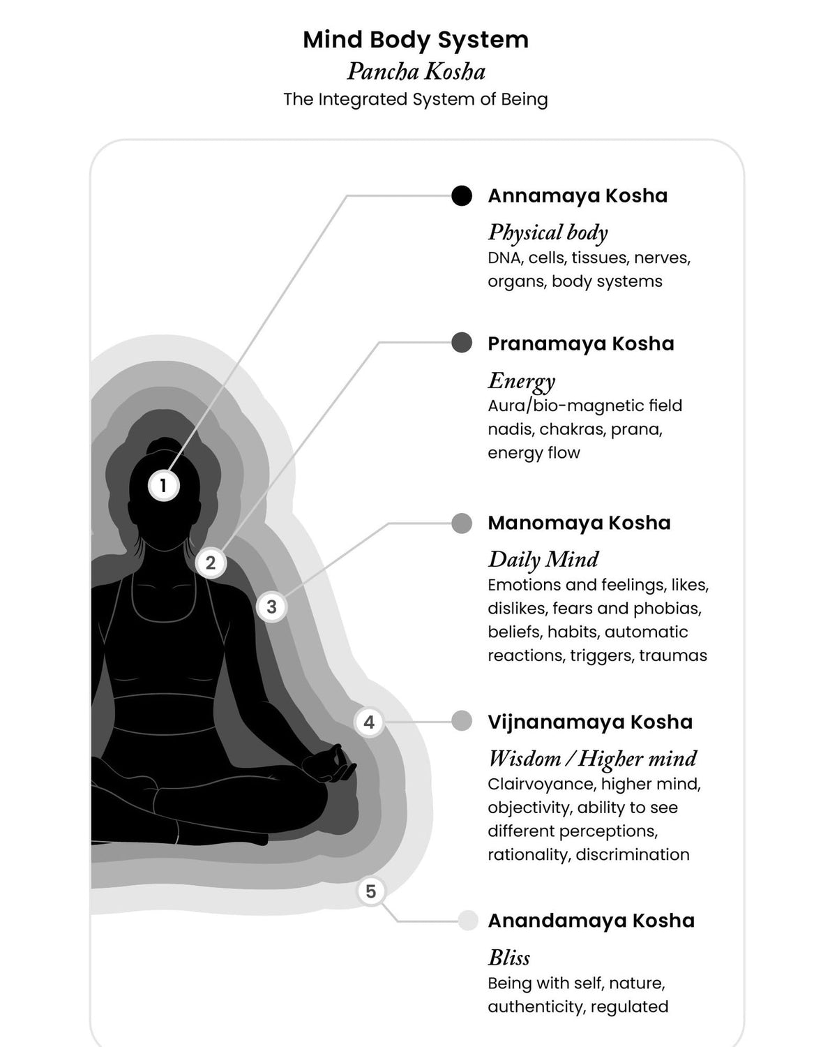 What Happened to Me? vs What's Wrong with Me?: Indian Perspectives on Childhood Trauma and Recovery