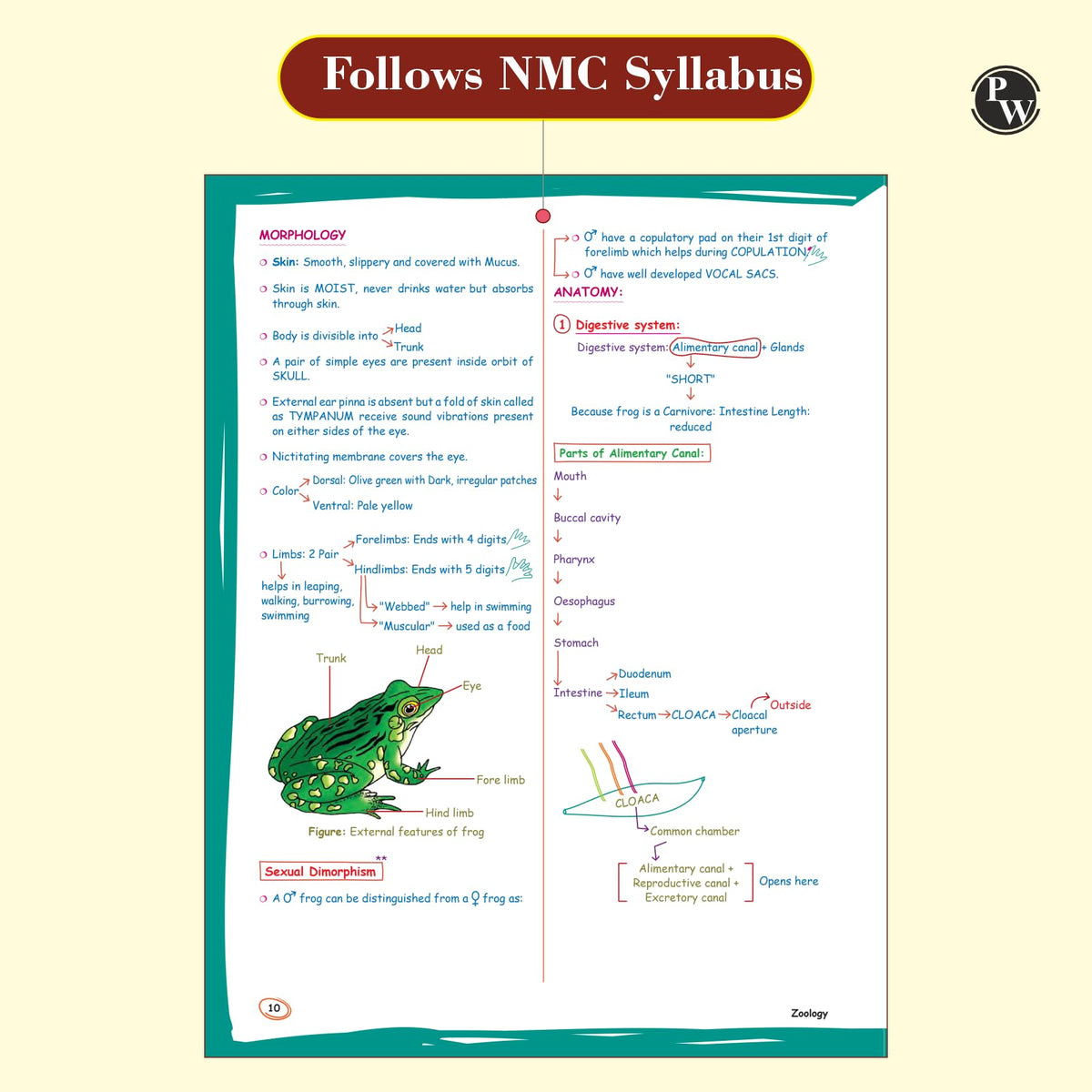 PW Zoology Med Easy For NEET and Board Exams 2024-25 | Flowcharts, Schematic Diagrams Samapti Sinha Mahapatra Handwritten Notes [Paperback] Samapti Sinha Mahapatra