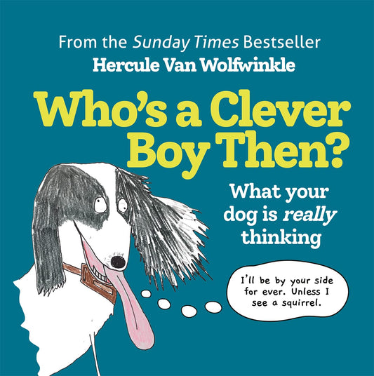 WHO’S A CLEVER BOY, THEN? book cover