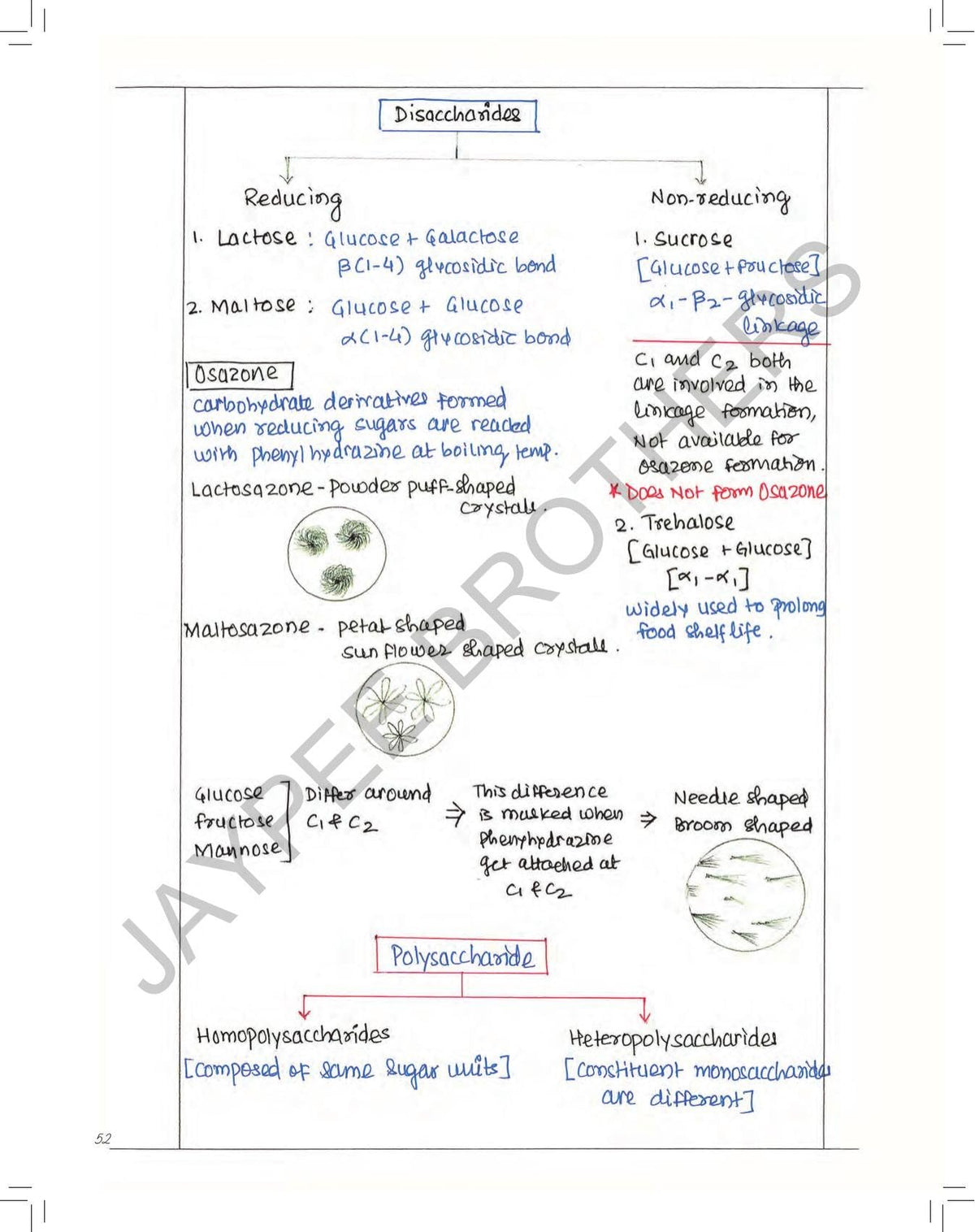 Golden Notes Biochemistry Rapid Revision Handwritten Notes, 4/E for Undergraduate Medical Students (MBBS, BDS, BAMS, BHMS, BPharm, BSc Biochemistry) & NEET PG Exam | Mnemonics & 100+ Clinical Cases
