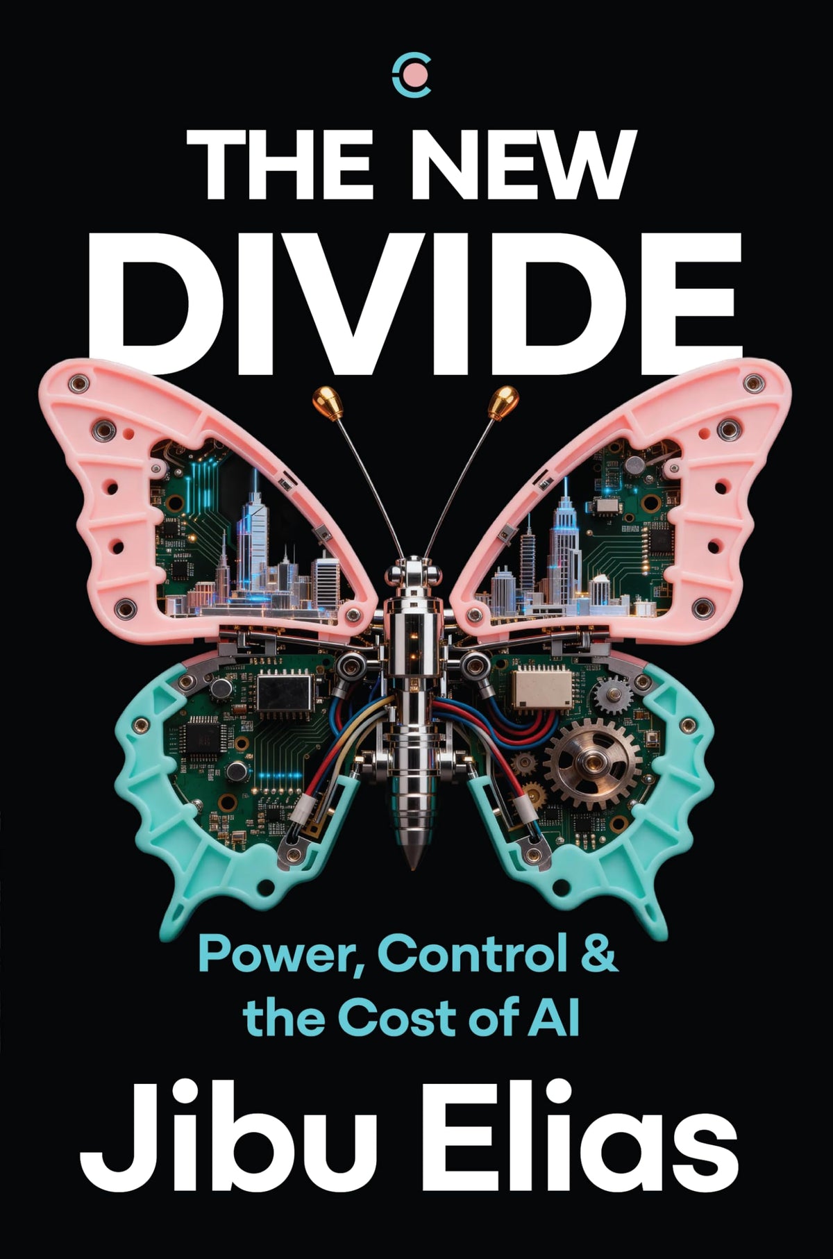 The New Divide: Power, Control & the Cost of AI