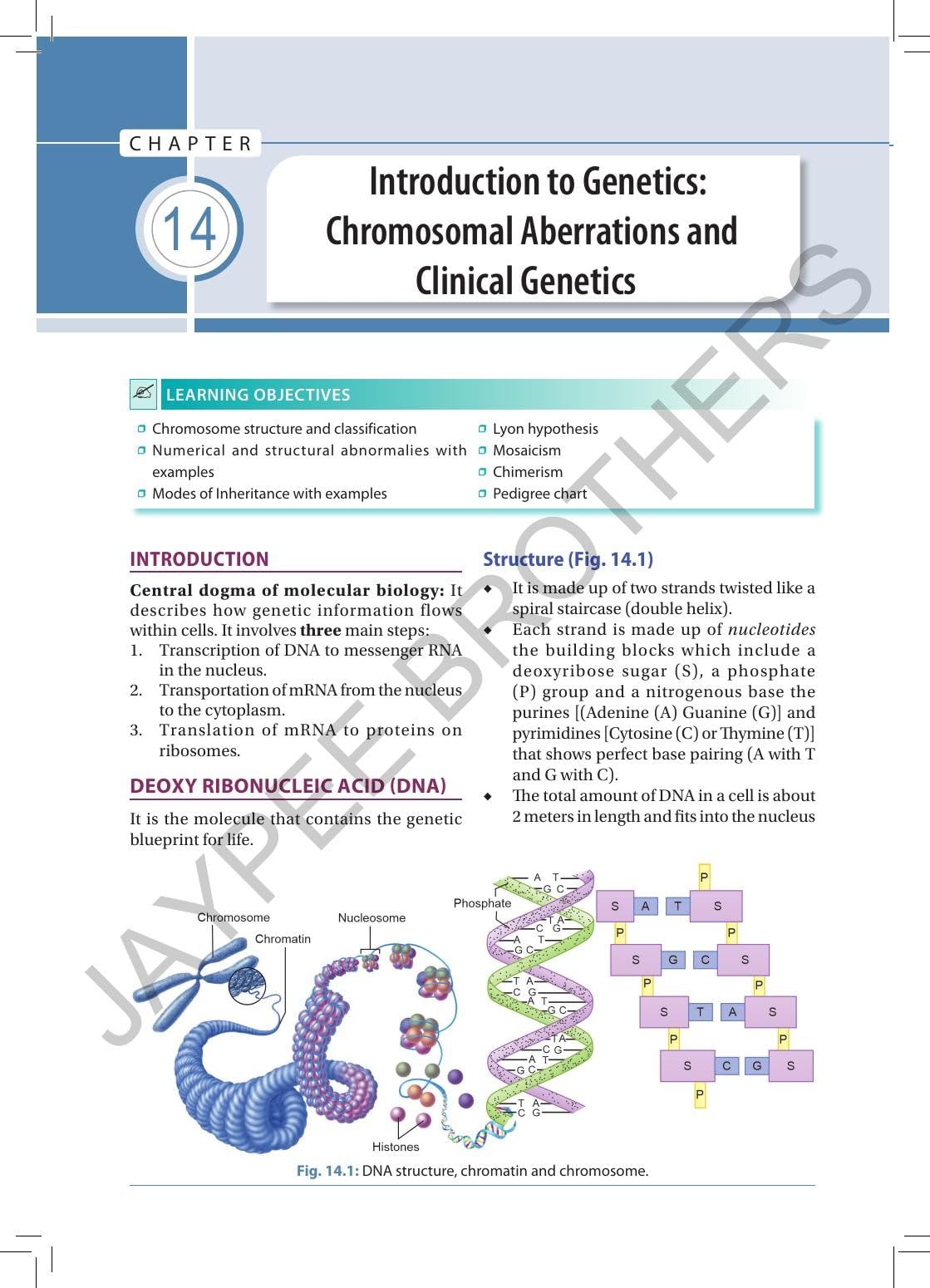 Textbook of General Anatomy with Case Scenarios & Clinical Applications, 3/E for MBBS, BDS, Nursing & Physiotherapy Students | NMC-Aligned with Radiological Anatomy, Genetics and MCQs: 1