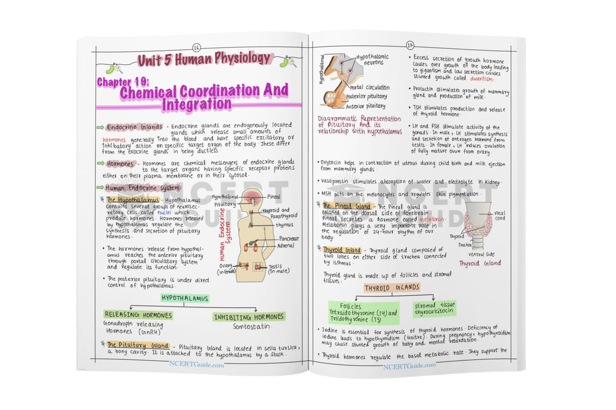 Neet Physics and Chemistry Formula Sheet + Biology Handwritten Short Notes