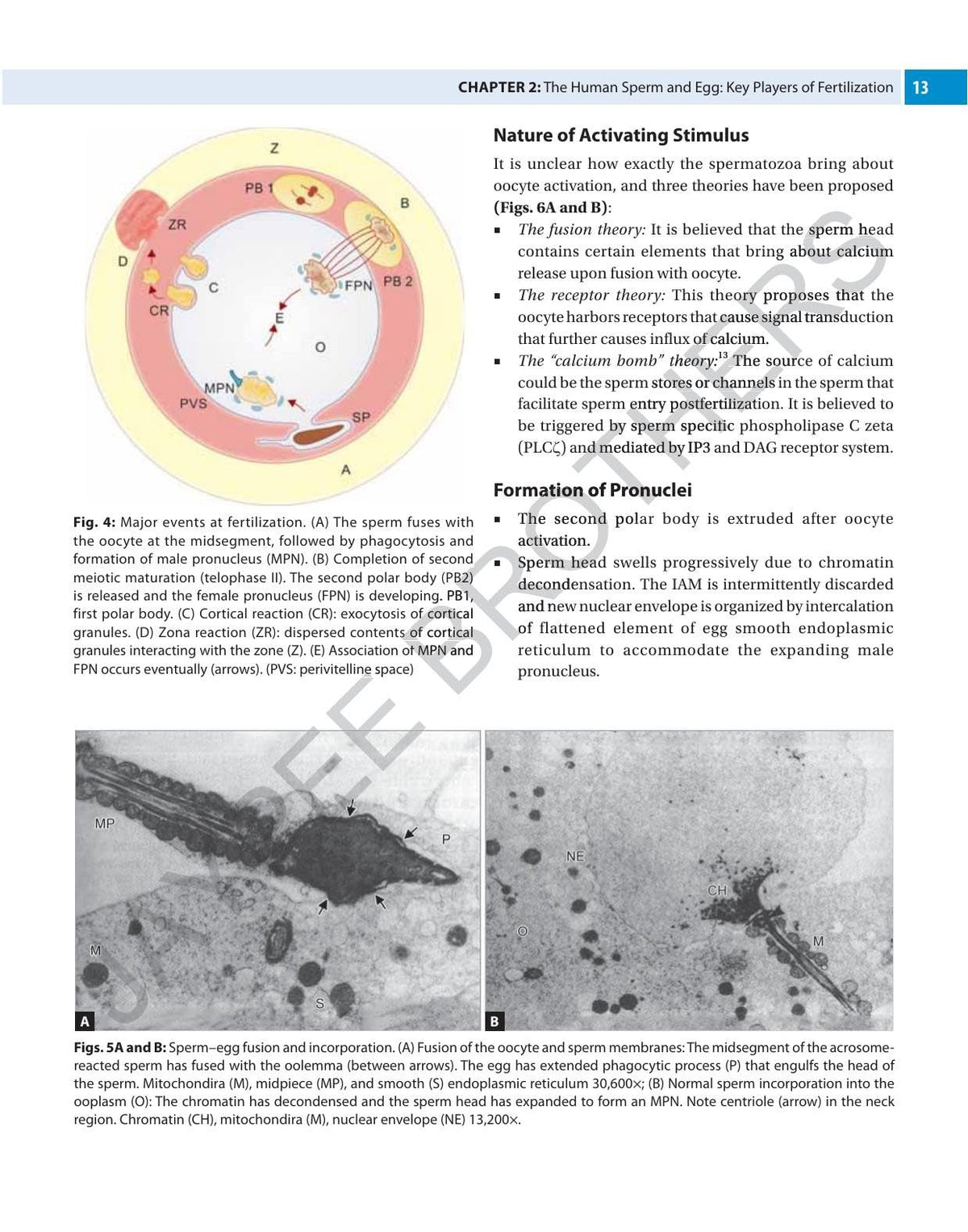 The Infertility Manual, 5/E for OBG Postgraduates, Gynecologists and Reproductive Medicine Specialists | Complete ART Guide Covering ICSI, IVF, Embryology and Male and Female Factor Infertility: 1