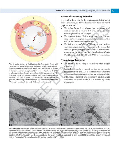 The Infertility Manual, 5/E for OBG Postgraduates, Gynecologists and Reproductive Medicine Specialists | Complete ART Guide Covering ICSI, IVF, Embryology and Male and Female Factor Infertility: 1