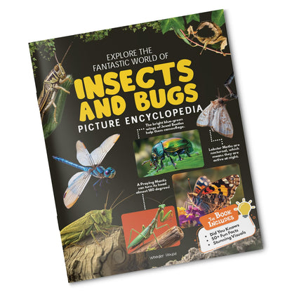 Explore Fantastic World of Insects And Bugs Picture Encyclopedia