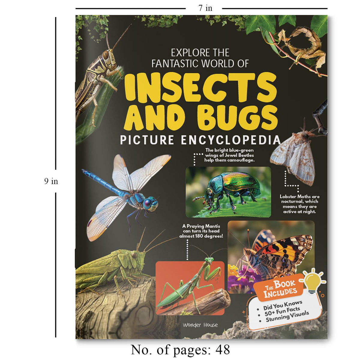 Explore Fantastic World of Insects And Bugs Picture Encyclopedia
