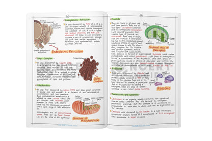 Neet Physics and Chemistry Formula Sheet + Biology Handwritten Short Notes