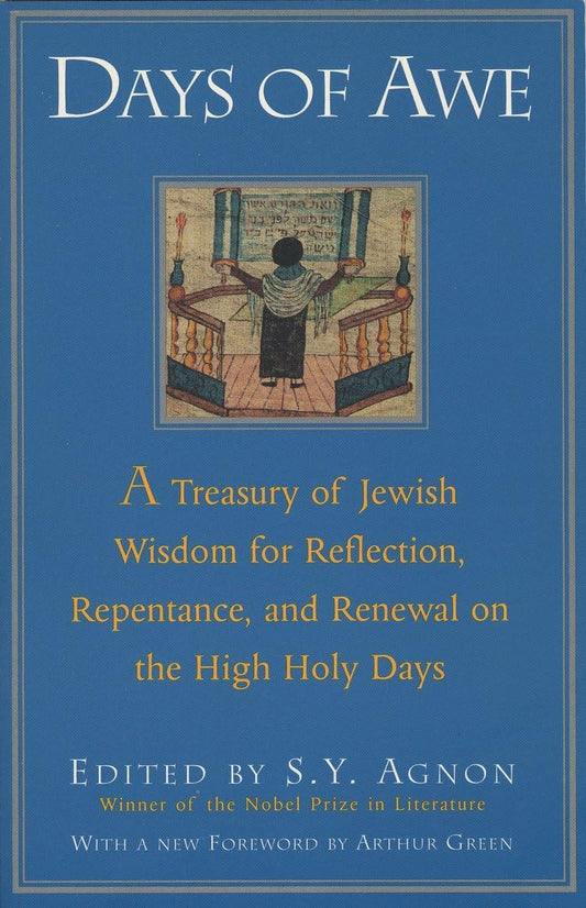 Days of Awe: A Treasury of Jewish Wisdom for Reflection, Repentance, and Renewal on the High Holy Da book cover