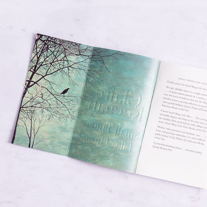 Small Things Like These: The Irish Times readers' choice for best Irish book of the century
