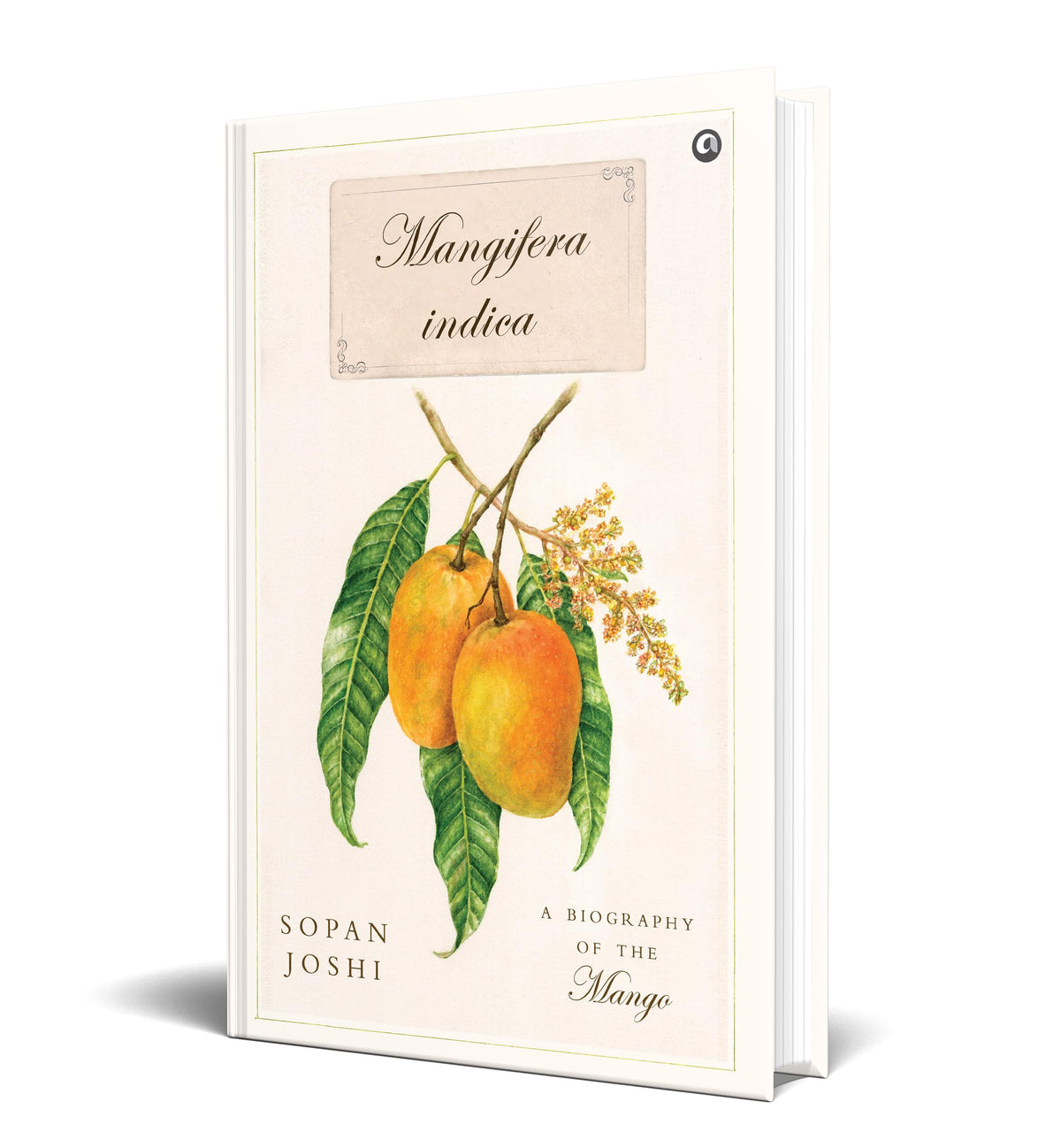 Mangifera indica: A Biography of the Mango
