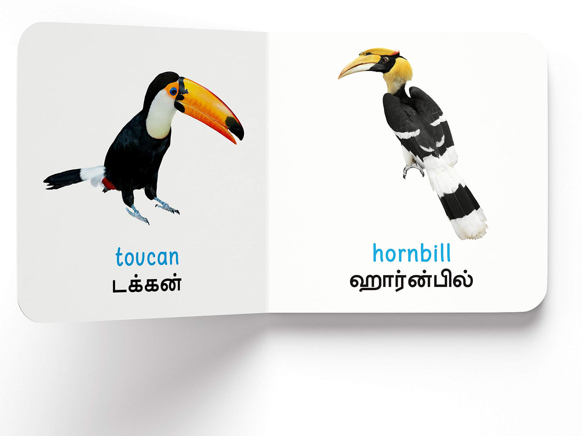 My First Book of Birds - Paravaigal : My First English Tamil Board Book