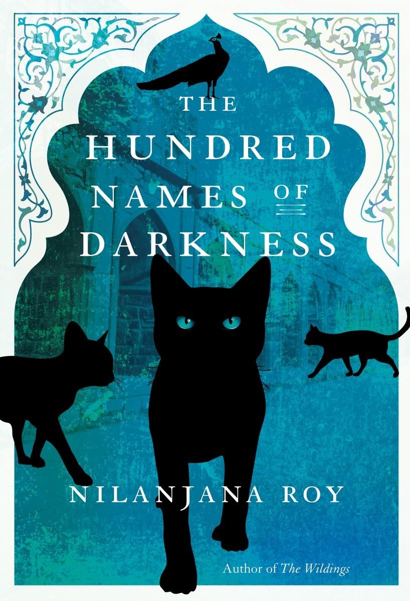 The Hundred Names of Darkness book cover