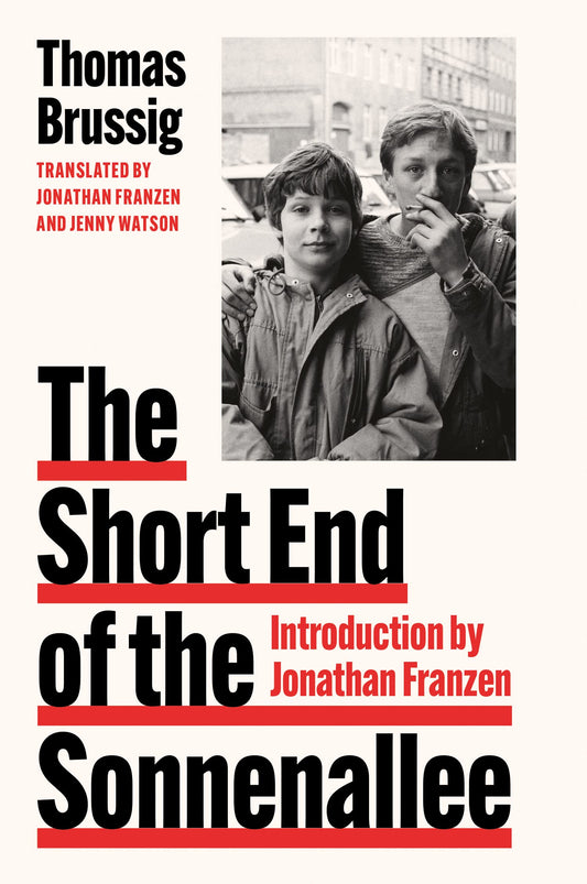 THE SHORT END OF THE SONNENALLEE book cover