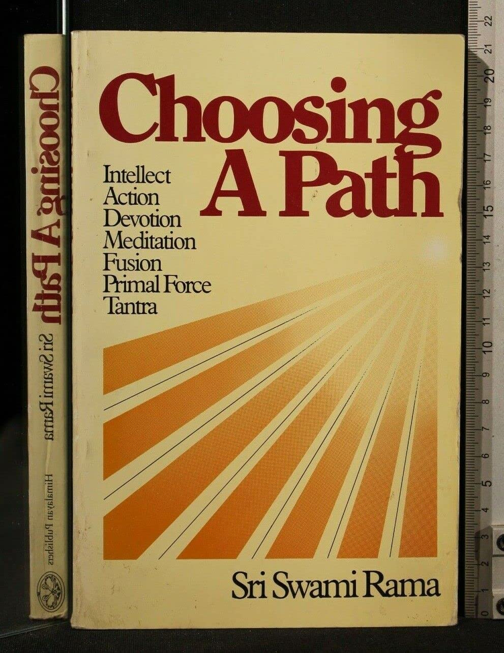 Choosing A Path book cover