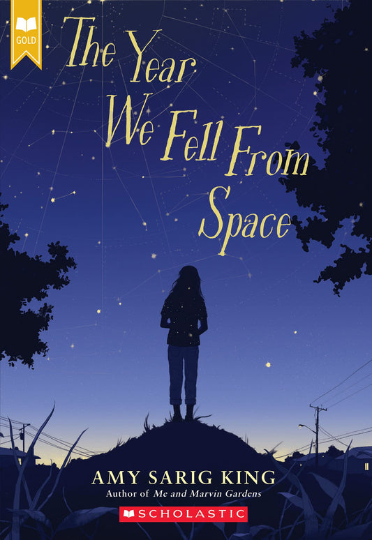 The Year We Fell From Space book cover