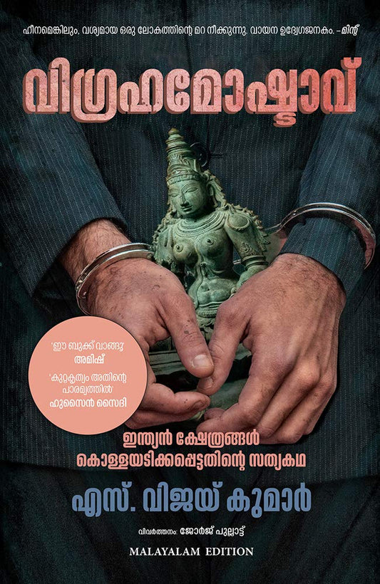 The Idol Thief book cover